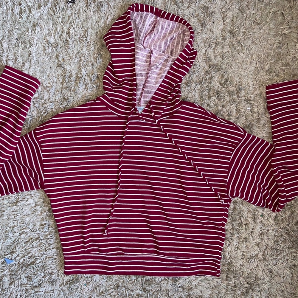 Never worn Charlotte Russe cropped sweat shirt